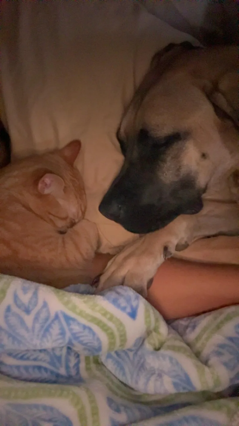 Sadie thumbnail 4