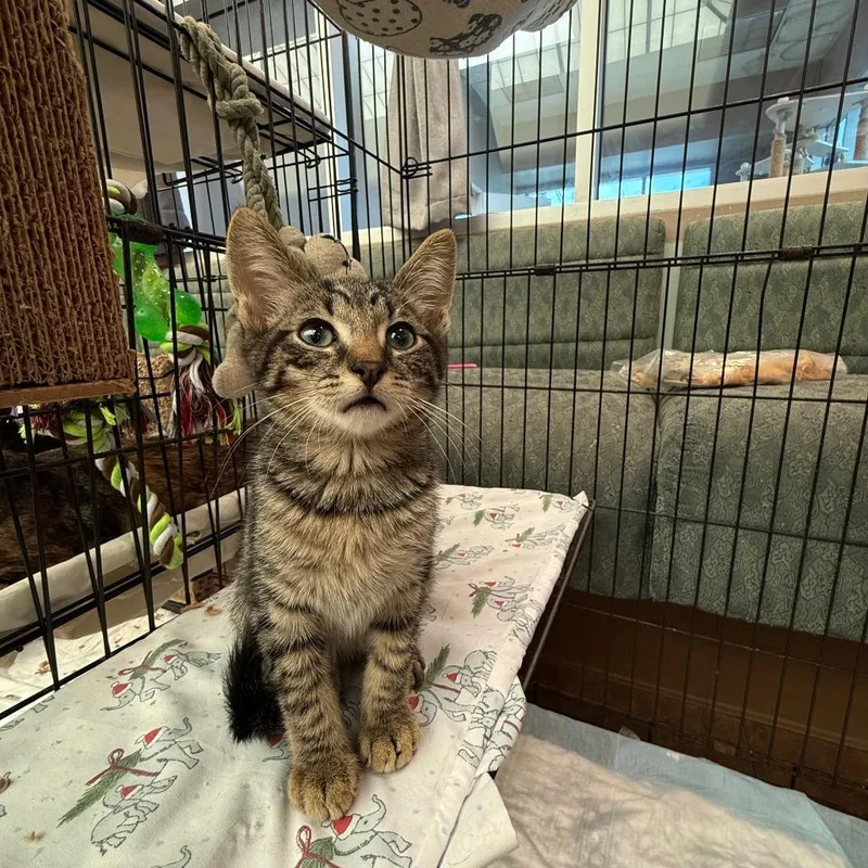 Princess Noodle thumbnail 2