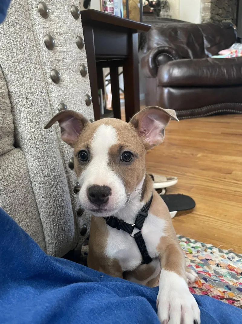 Charlie