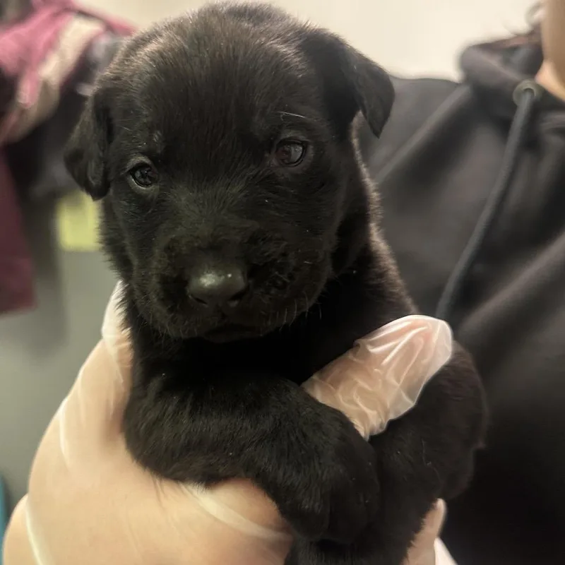 Cassie Mckay thumbnail 2