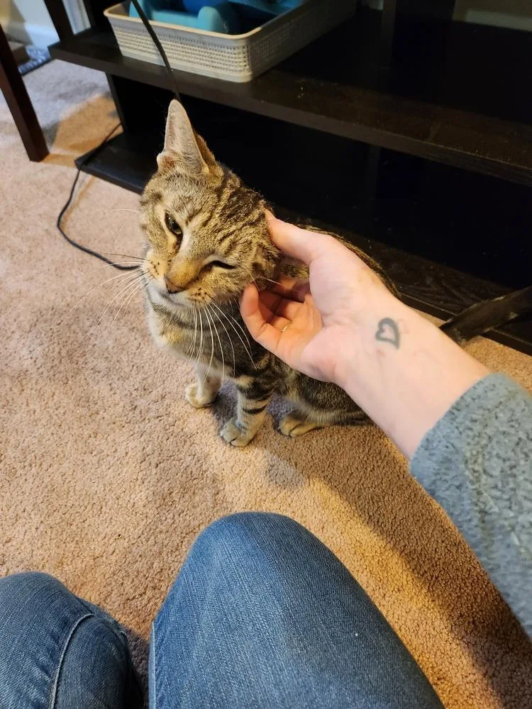 Sara Lee thumbnail 6