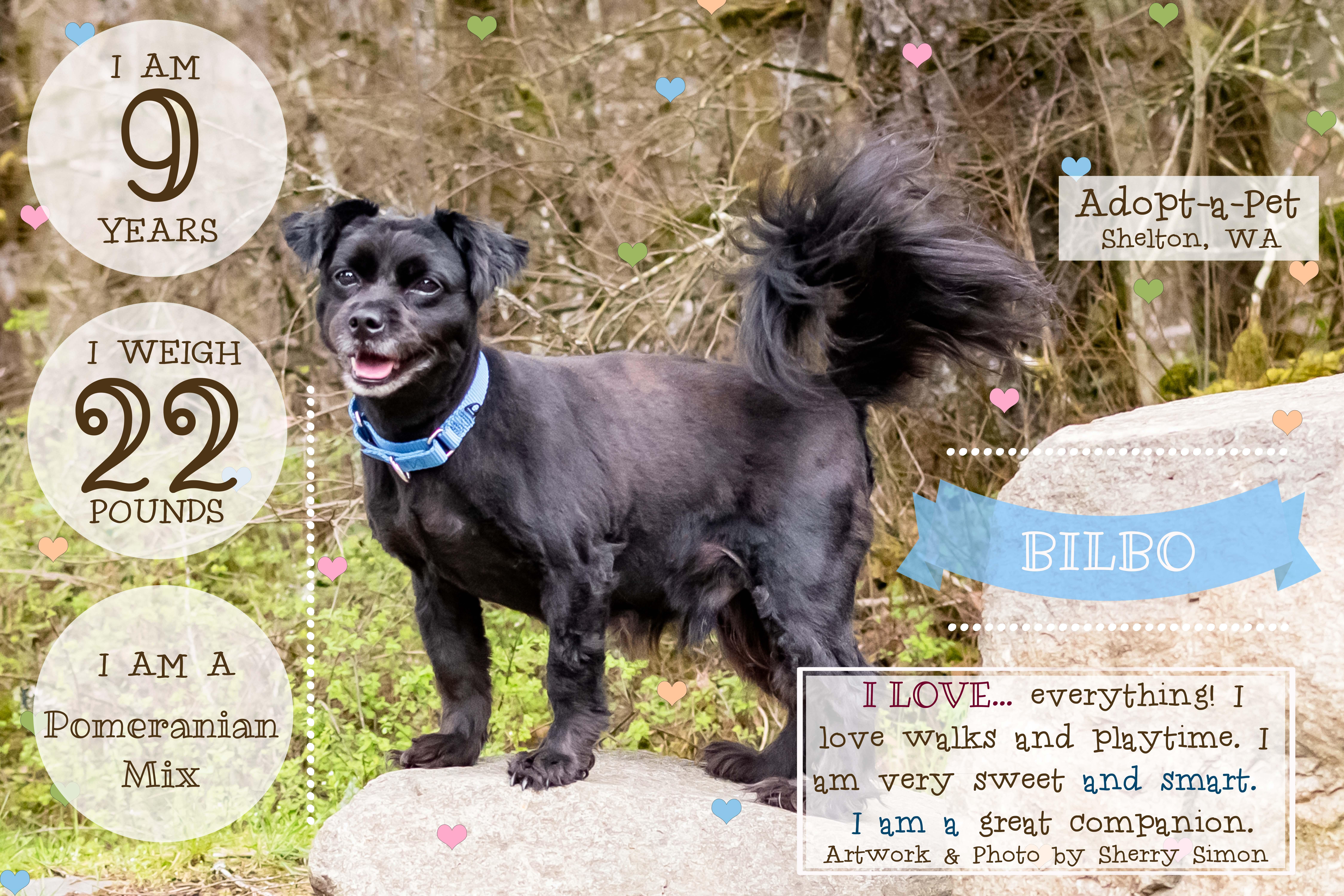 Bilbo Baggins thumbnail 6