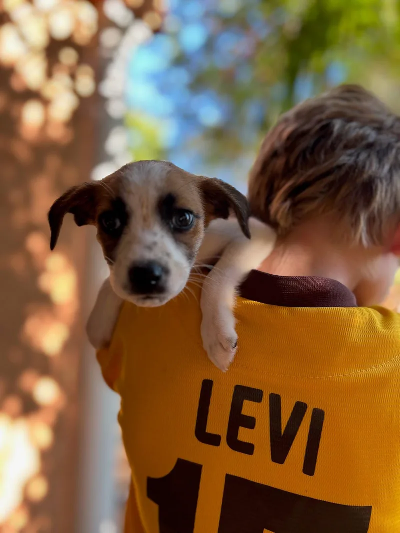 Clarinet thumbnail 2