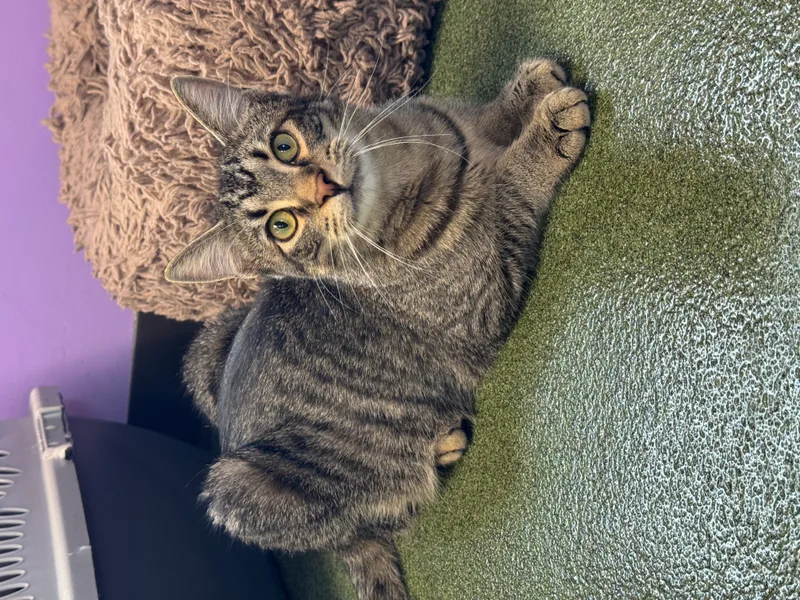 Em & Hayes thumbnail 2