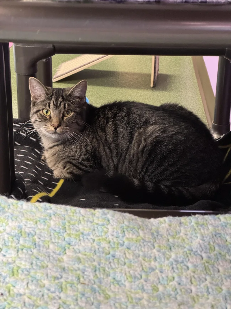 Em & Hayes thumbnail 3