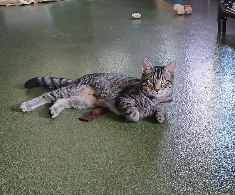 Em & Hayes thumbnail 4