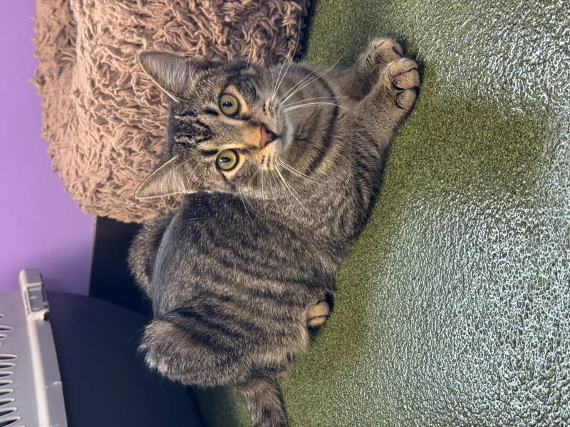 Em & Hayes thumbnail 6