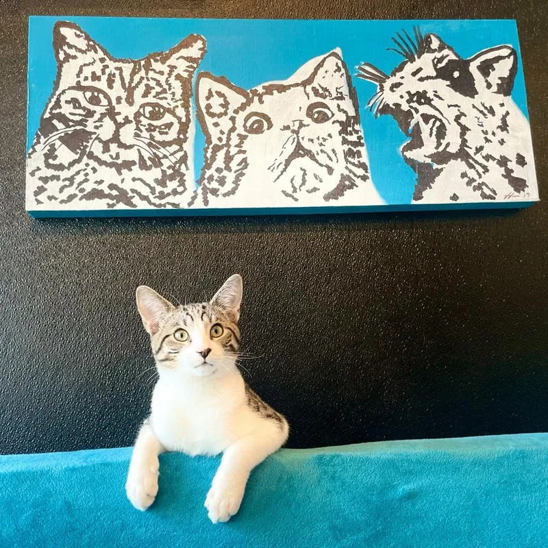 Stromboli thumbnail 2