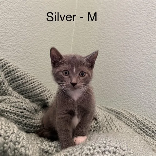 Silver