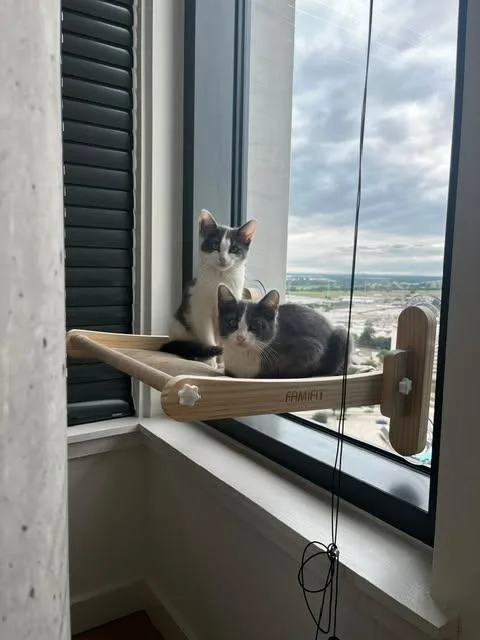 Rosie