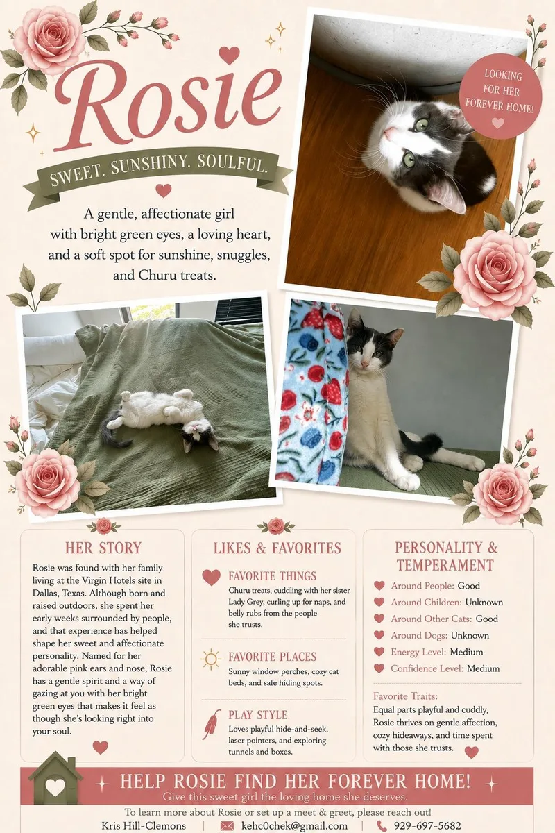 Rosie thumbnail 5