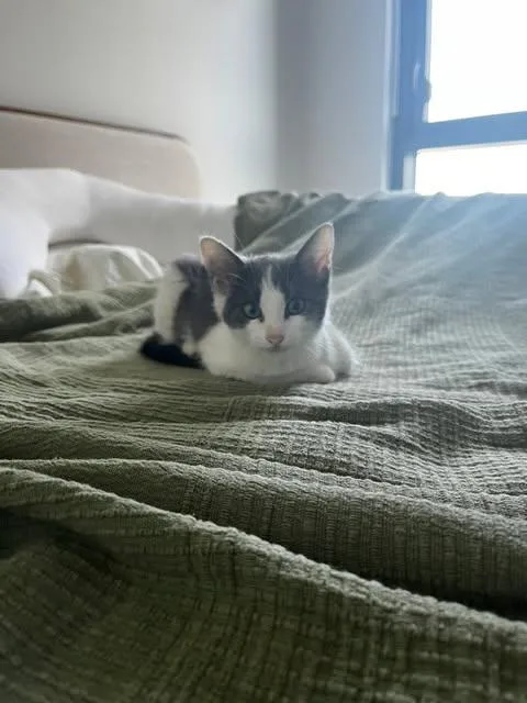 Rosie thumbnail 6