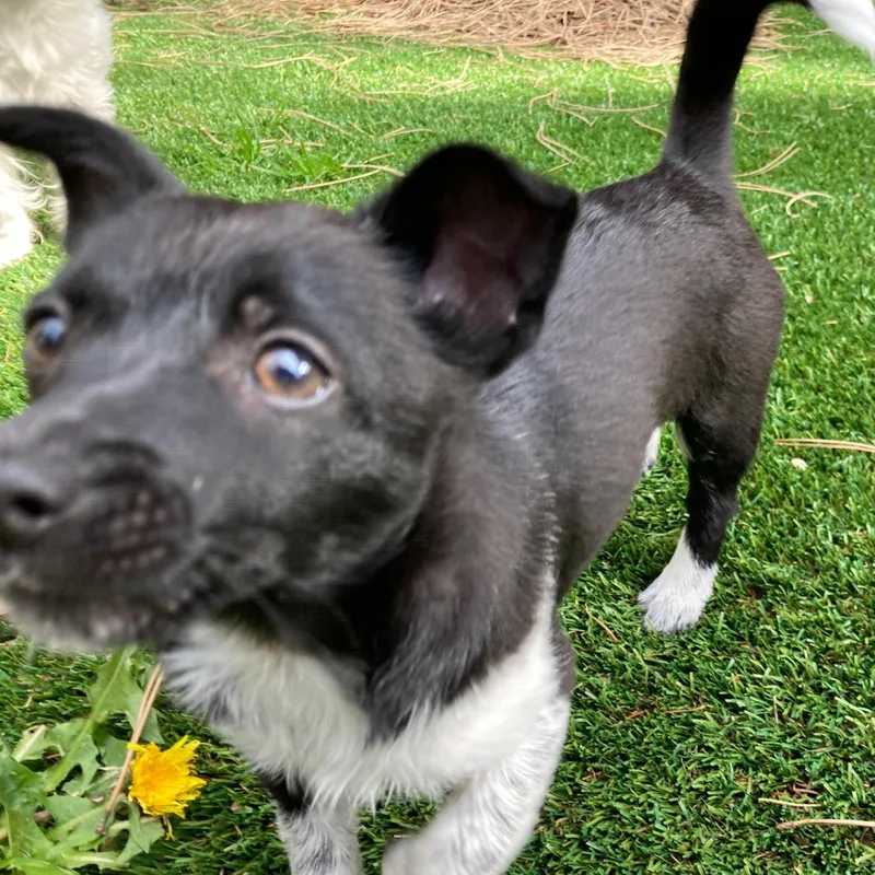 Meet Trily  A thumbnail 3