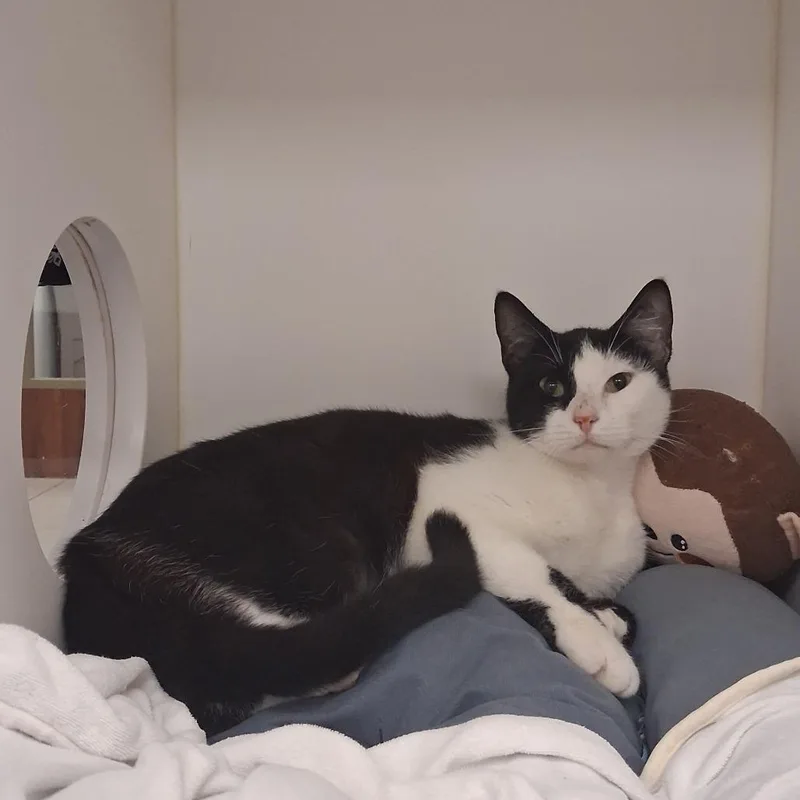 Estefania thumbnail 2