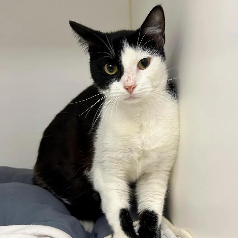 Estefania thumbnail 3