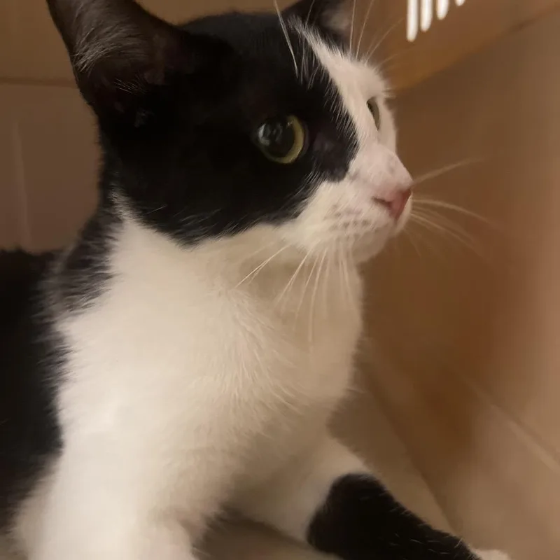 Estefania thumbnail 4