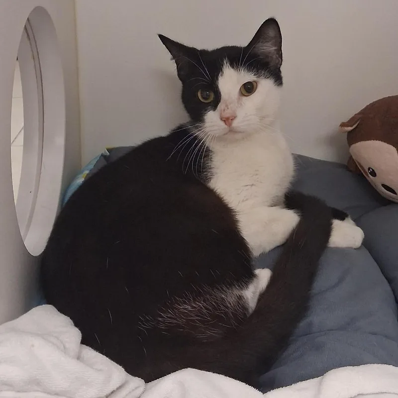 Estefania thumbnail 5