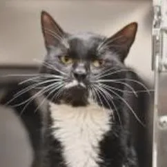 Martin Lee thumbnail 2