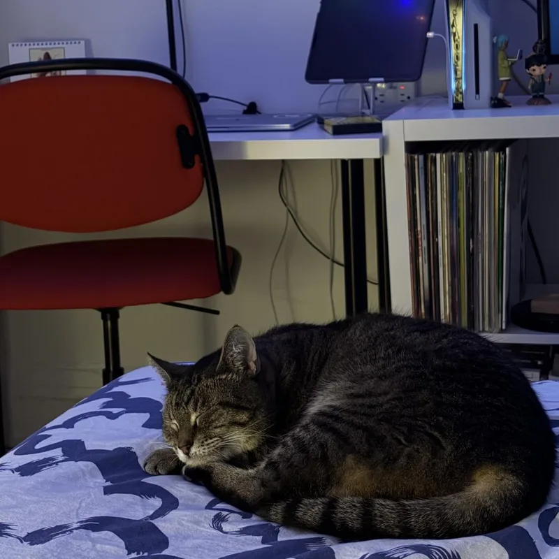 Clarice Catling thumbnail 2