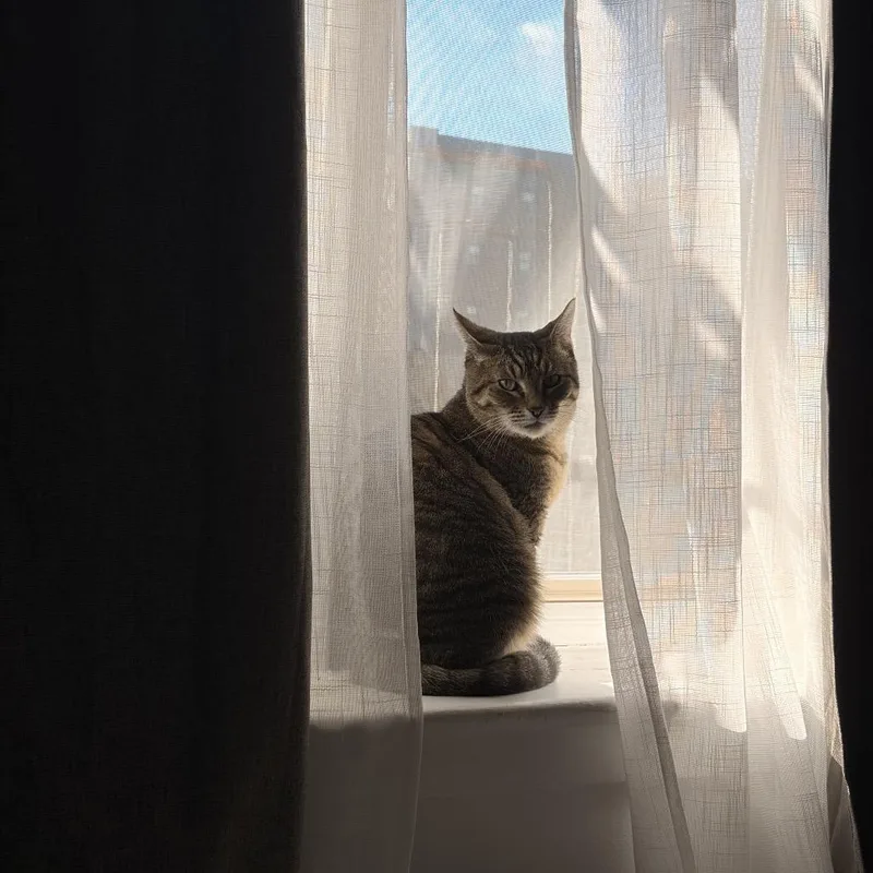 Clarice Catling thumbnail 5