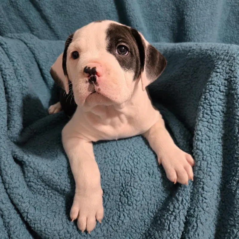 Cancelled thumbnail 2