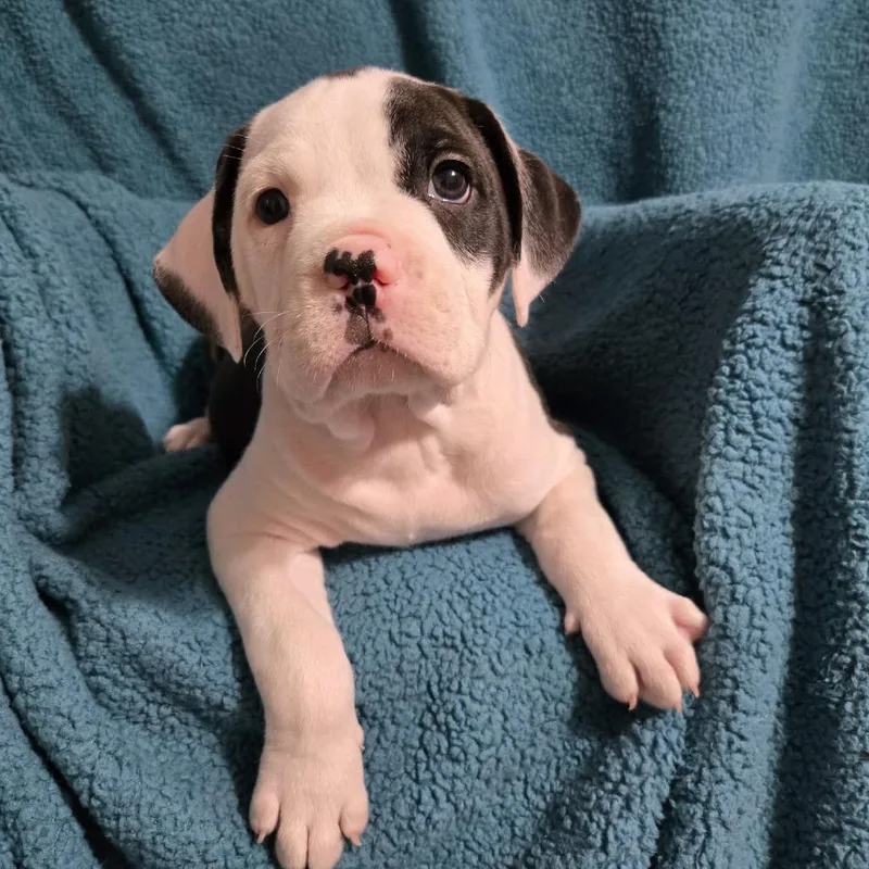 Cancelled thumbnail 3