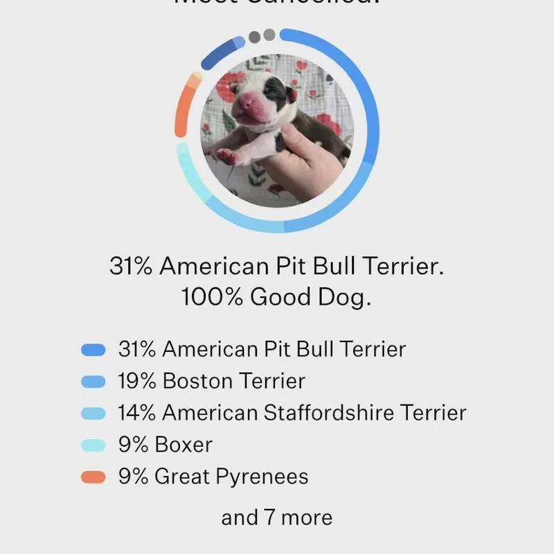 Cancelled thumbnail 4