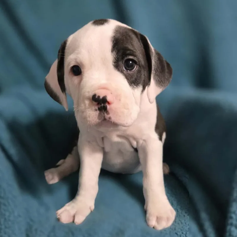 Cancelled thumbnail 5