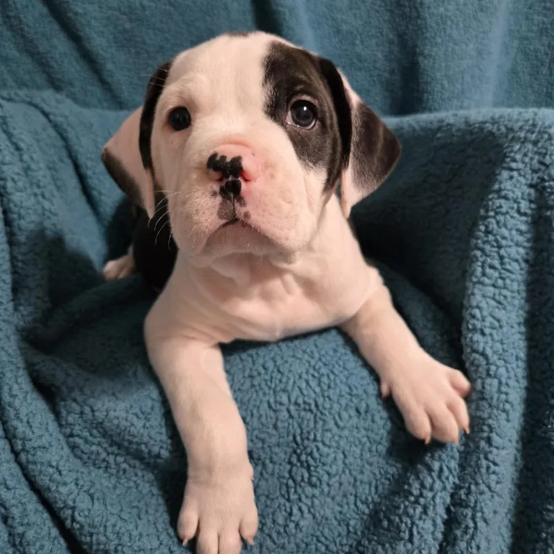 Cancelled thumbnail 6