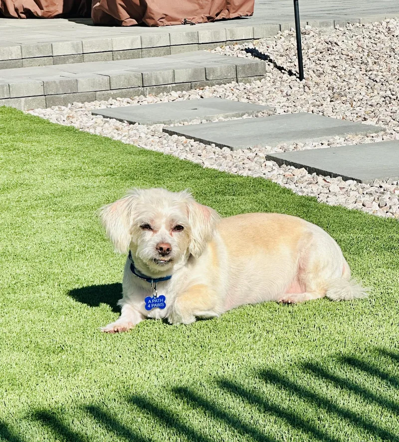Boris Aka Jake