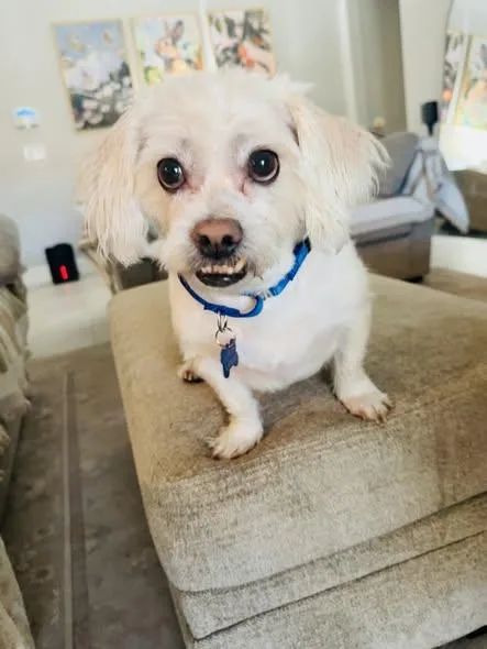 Boris Aka Jake thumbnail 3