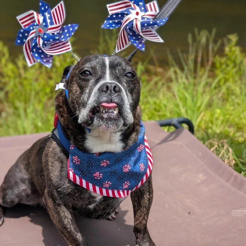 Truman