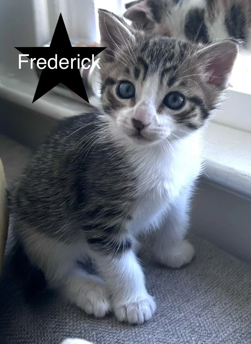 Frederick thumbnail 2