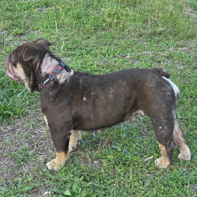 Nadia