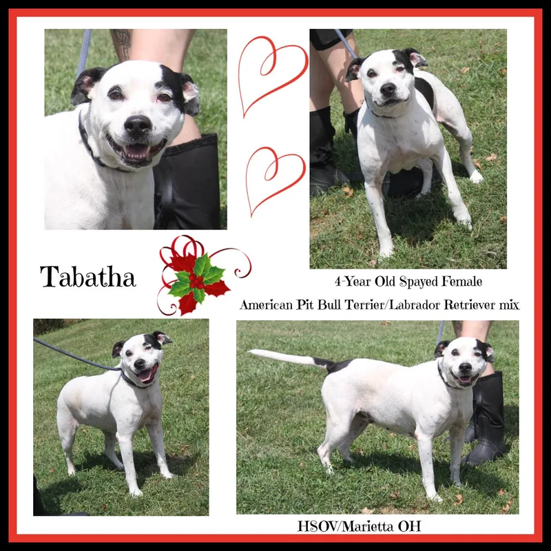 Tabatha thumbnail 3