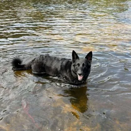 Niisha Courtesy Listed thumbnail 2