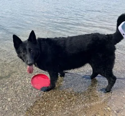 Niisha Courtesy Listed thumbnail 5