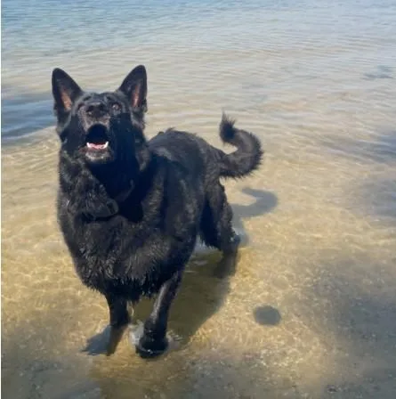 Niisha Courtesy Listed thumbnail 6