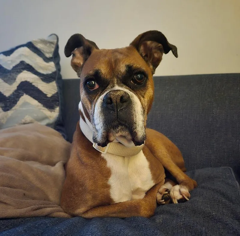 Misty Faye thumbnail 2