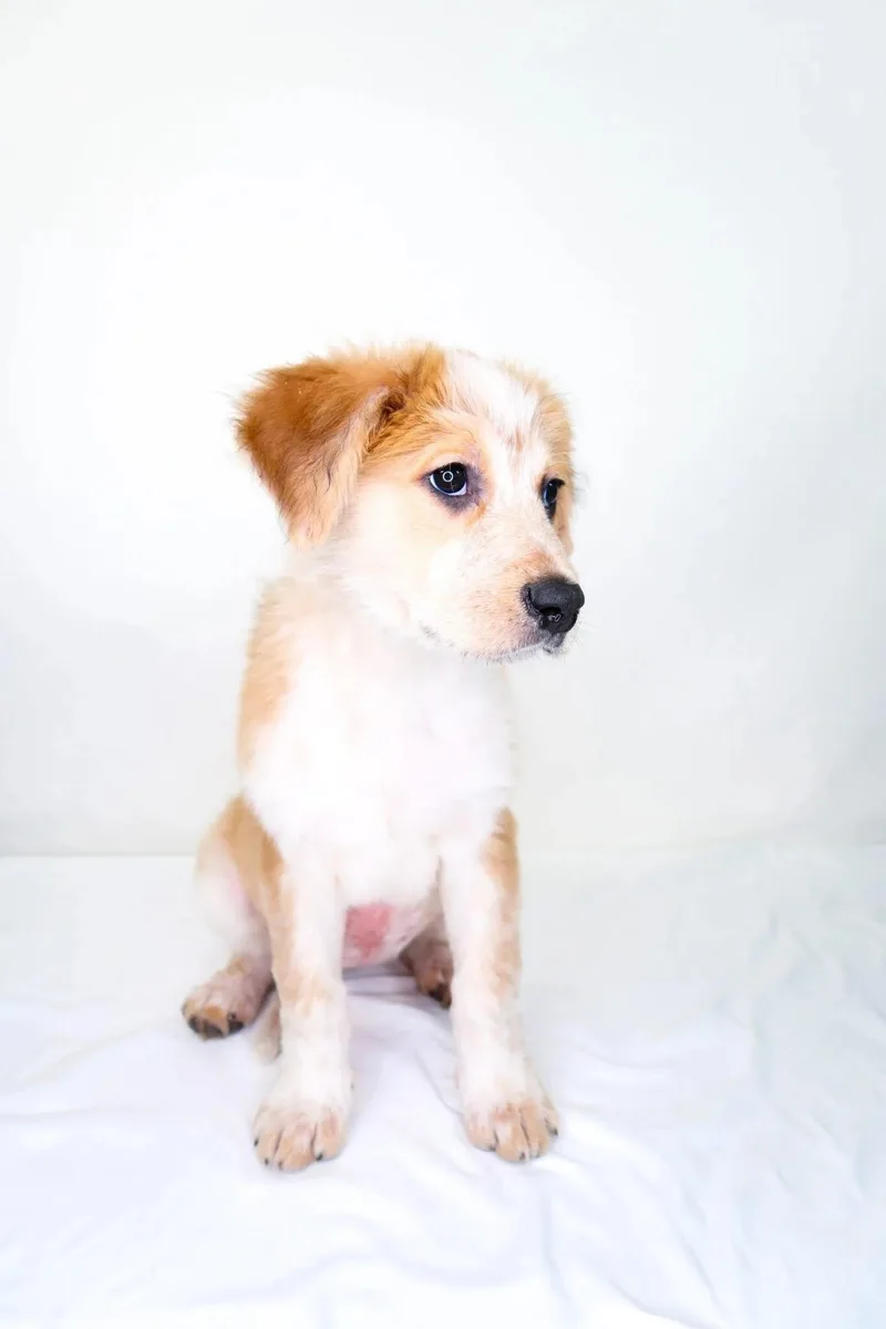 Meredith thumbnail 2