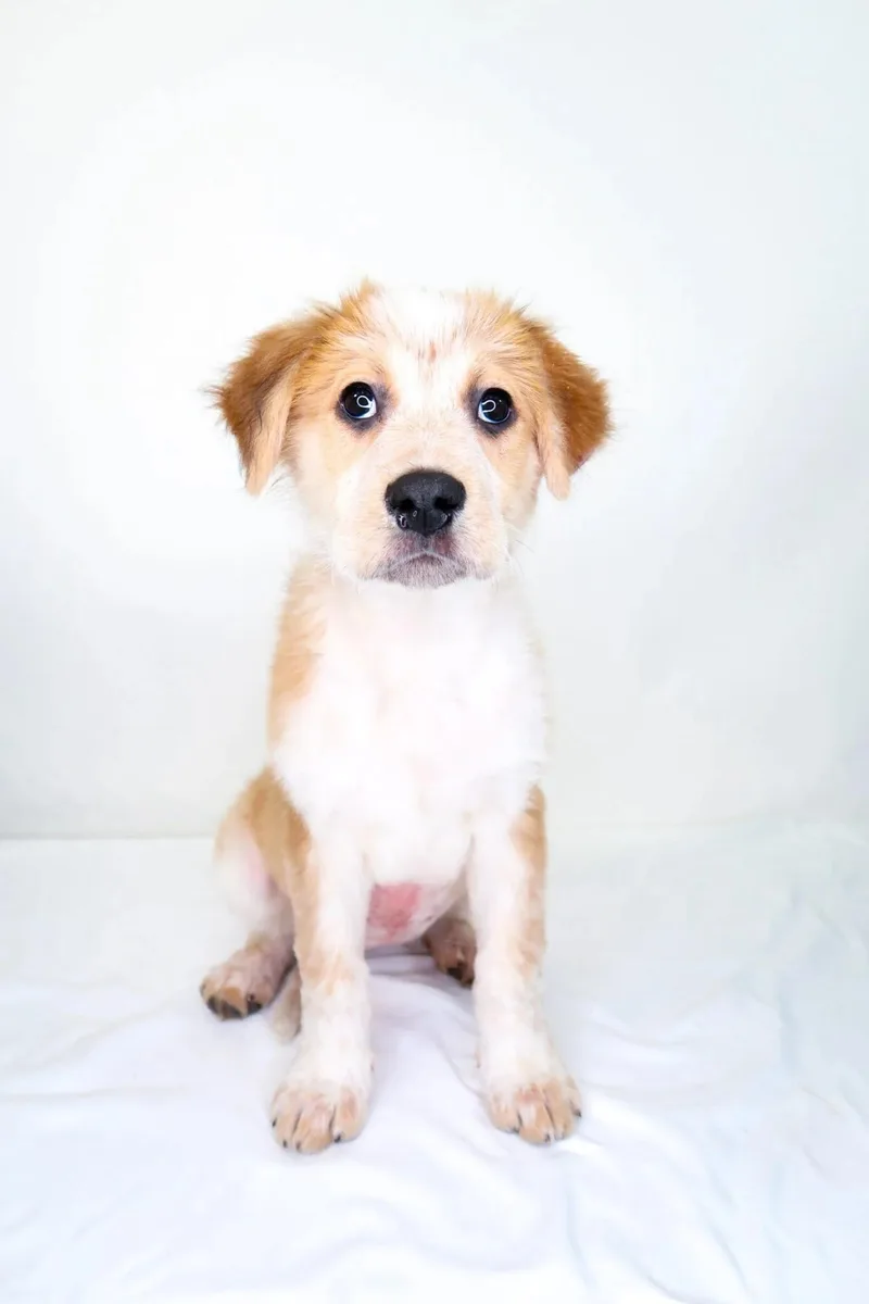 Meredith thumbnail 3