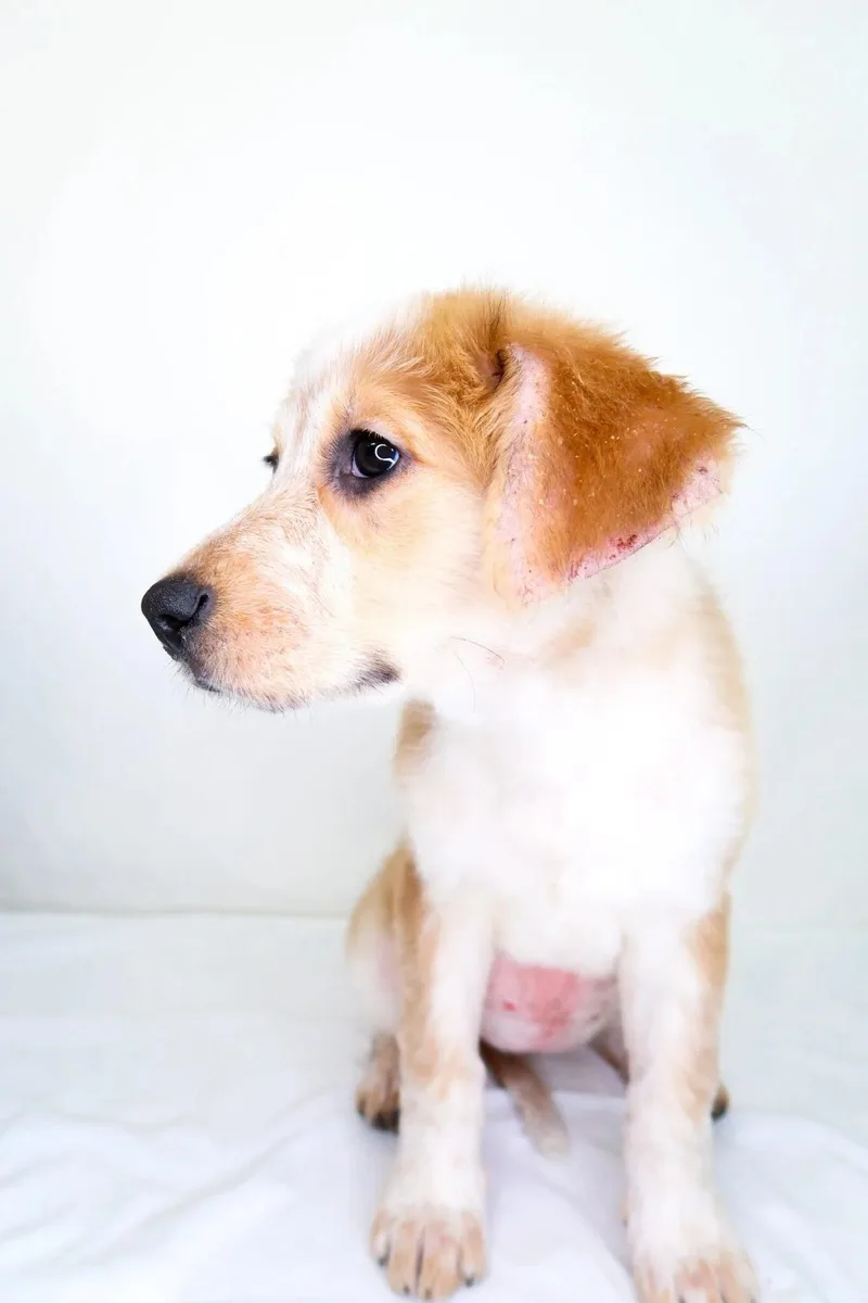 Meredith thumbnail 5