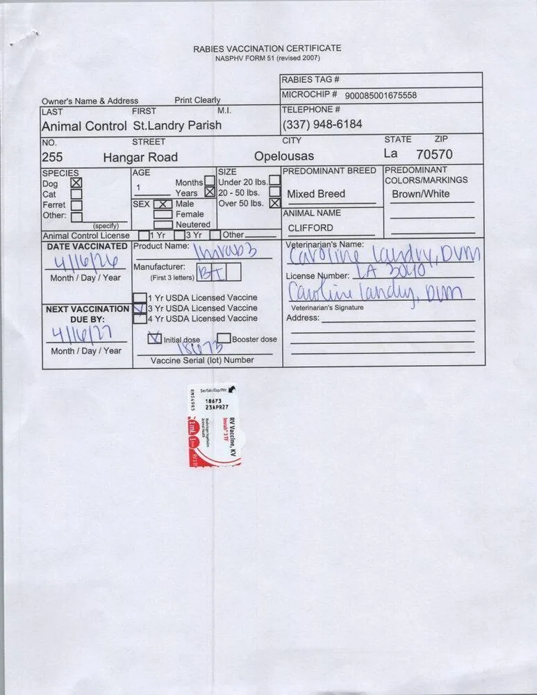 Clifford thumbnail 2