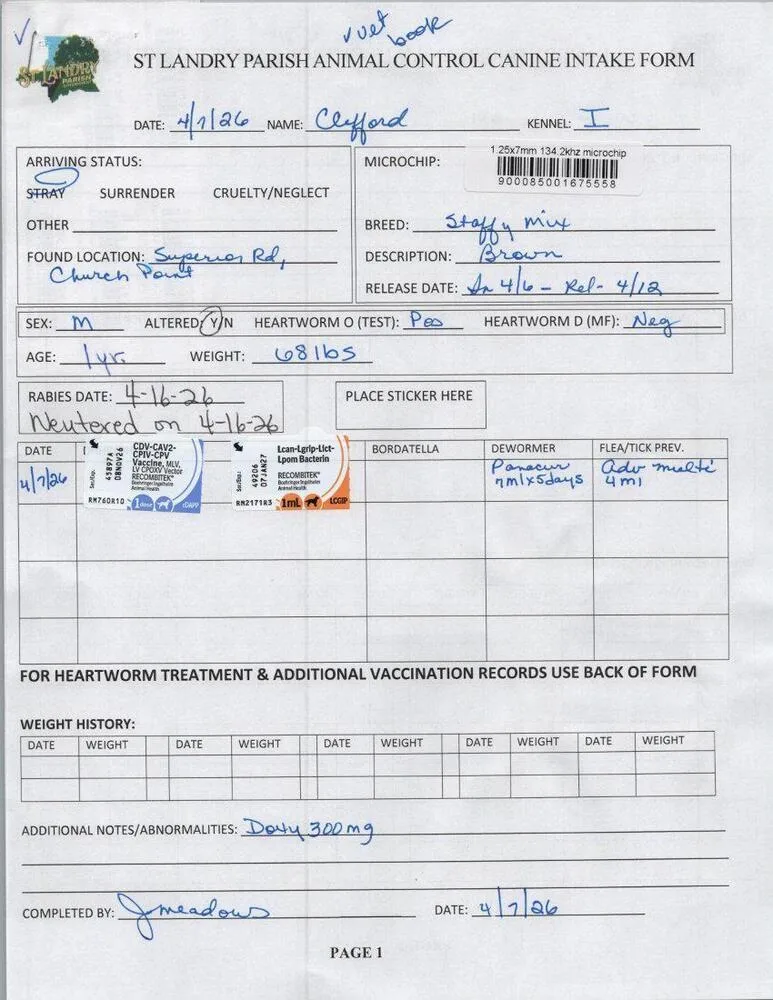 Clifford thumbnail 3