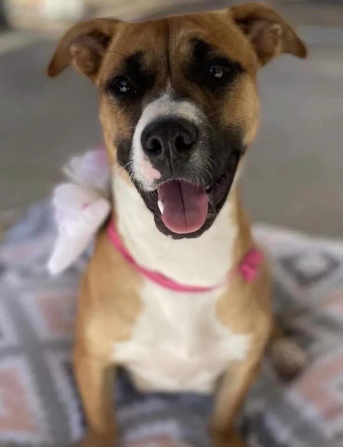 Eloise