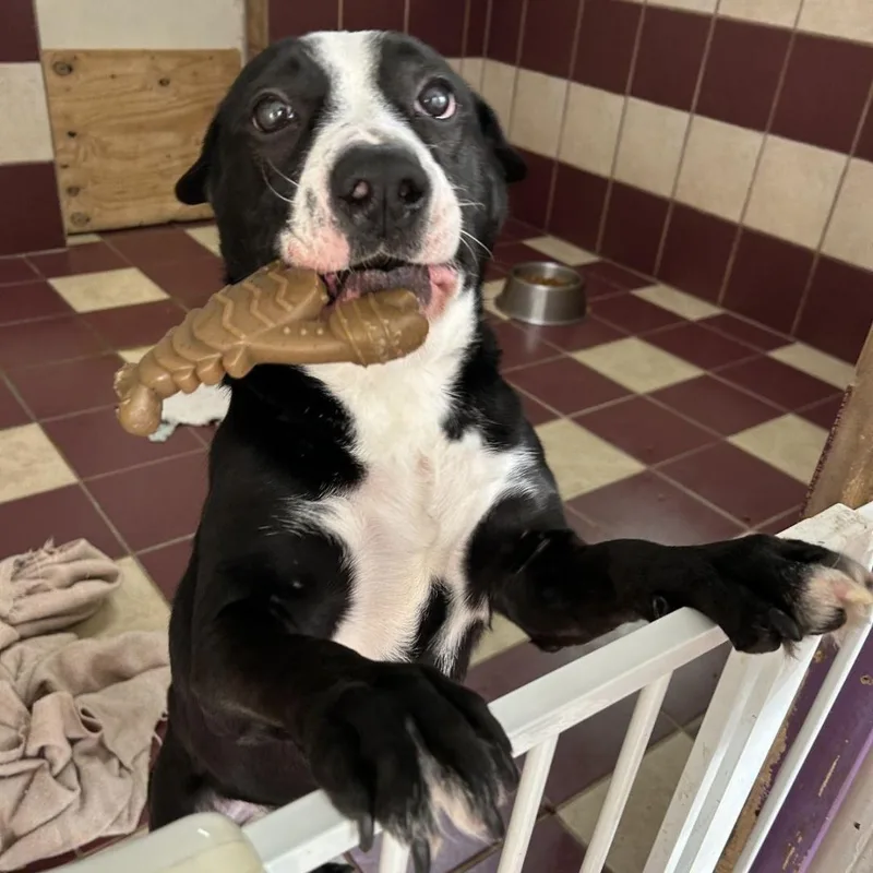 Precious thumbnail 3