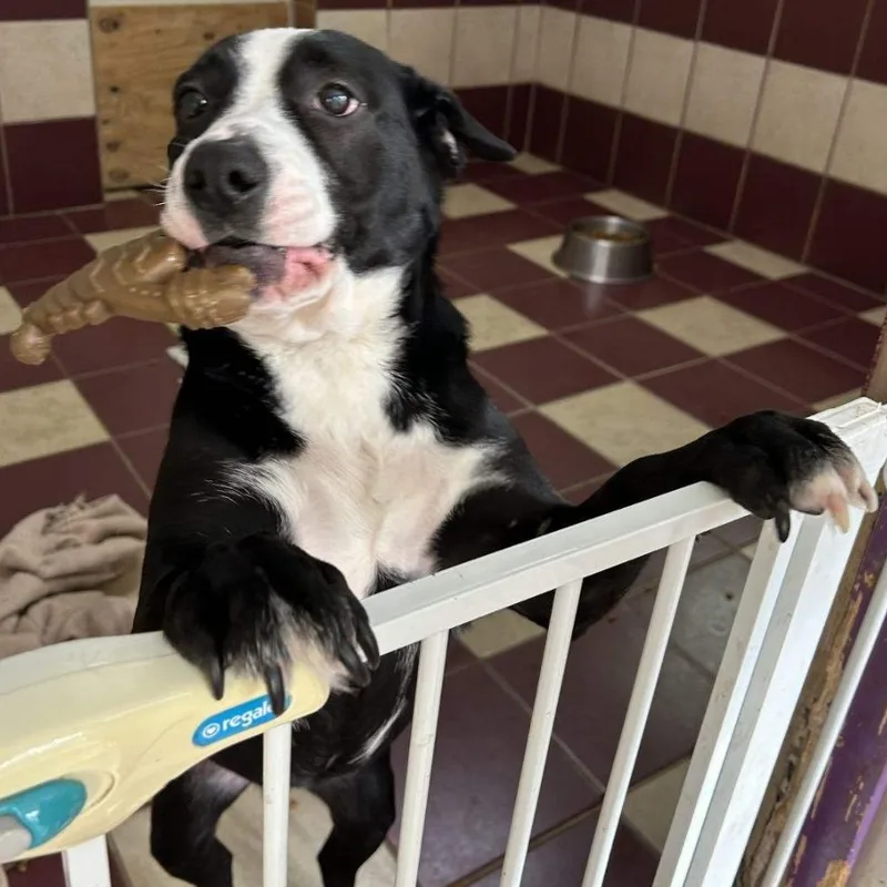 Precious thumbnail 5