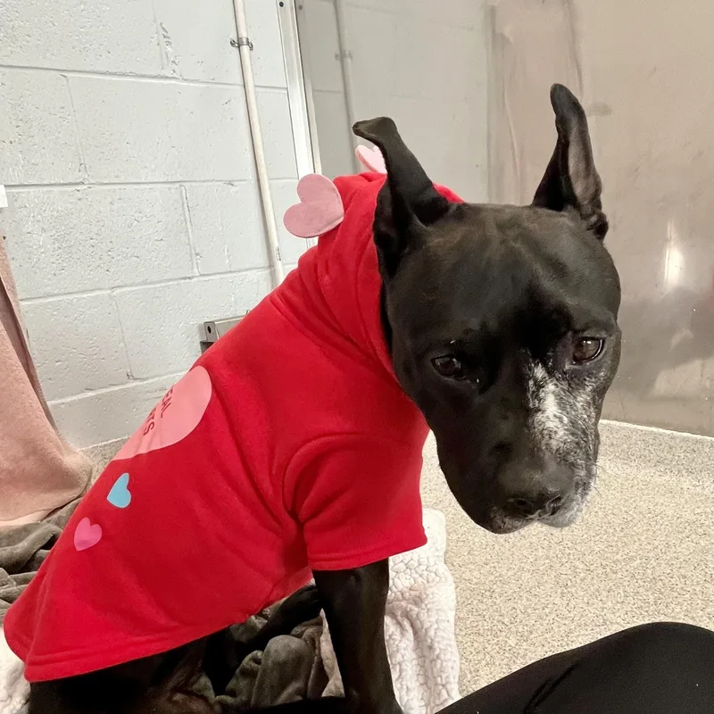 Cindy Lou Who thumbnail 2