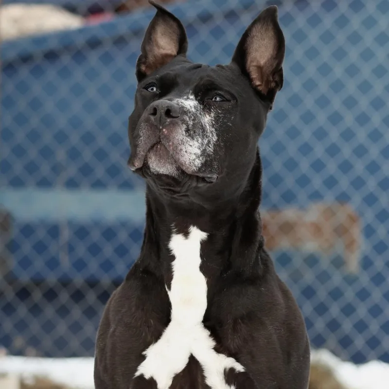 Cindy Lou Who thumbnail 4