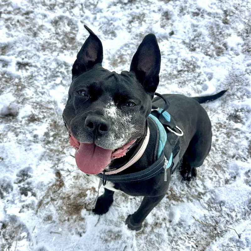 Cindy Lou Who thumbnail 5